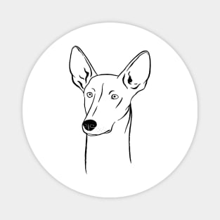 Ibizan Hound (Black and White) Magnet